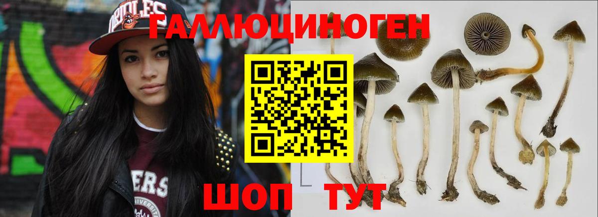 Псилоцибиновые грибы Psilocybe  что такое   Старый Оскол  Псилоцибиновые грибы Magic Shrooms  Вход с VPN 
